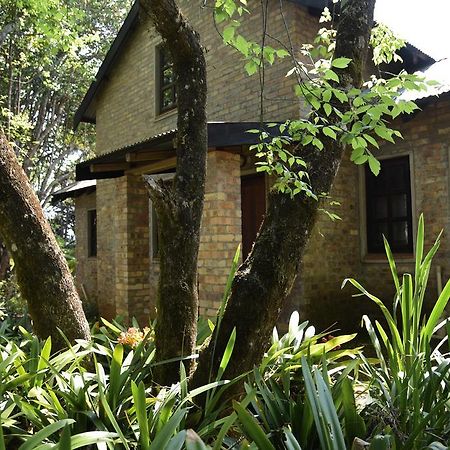 Molly'S Cottage Graskop Ngoại thất bức ảnh