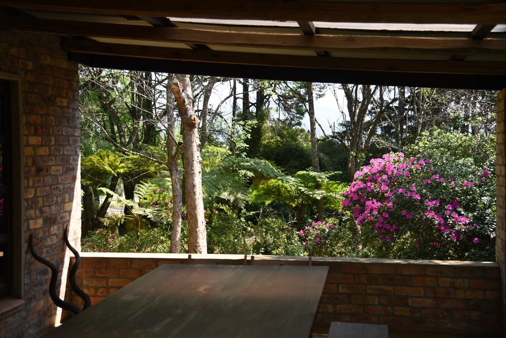 Molly'S Cottage Graskop Ngoại thất bức ảnh
